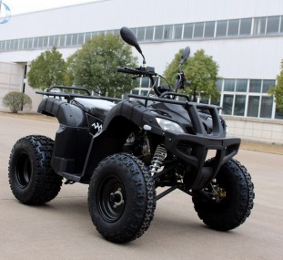 Automatik Quad 200ccm "Forester" mit Straßenzulassung + AHK Automatik Quad 200ccm "Forester" mit Straßenzulassung + AHK
