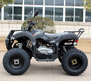 Automatik Quad 200ccm "Forester" mit Straßenzulassung + AHK Automatik Quad 200ccm "Forester" mit Straßenzulassung + AHK