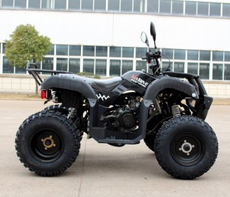 Automatik Quad 200ccm "Forester" mit Straßenzulassung + AHK Automatik Quad 200ccm "Forester" mit Straßenzulassung + AHK