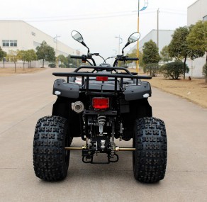 Automatik Quad 200ccm "Forester" mit Straßenzulassung + AHK Automatik Quad 200ccm "Forester" mit Straßenzulassung + AHK
