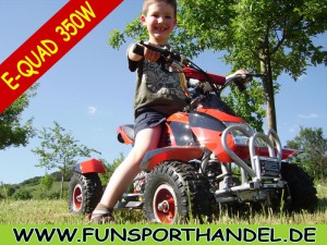Elektroquad f�r Kinder Eco Dragon 350W 