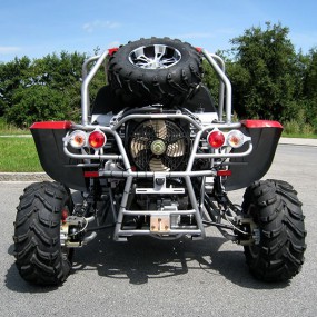 Buggy "Luck Vehicle" 500cc mit Straßenzulassung Buggy "Luck Vehicle" 500cc mit Straßenzulassung