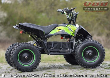 800 Watt Elektro Kinderquad elektrisch Eco Python Deluxe - drosselbar 800 Watt Elektro Kinderquad elektrisch Eco Python Deluxe - drosselbar