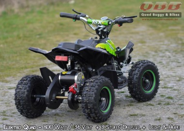 800 Watt Elektro Kinderquad elektrisch Eco Python Deluxe - drosselbar 800 Watt Elektro Kinderquad elektrisch Eco Python Deluxe - drosselbar