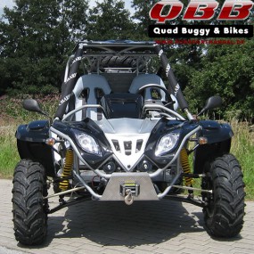 Dongfang Buggy DF600GK - EFI 600cc mit Straßenzulassung Dongfang Buggy DF600GK - EFI 600cc mit Straßenzulassung