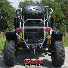 Dongfang Buggy DF600GK - EFI 600cc mit Straßenzulassung Dongfang Buggy DF600GK - EFI 600cc mit Straßenzulassung