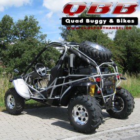 Dongfang Buggy DF600GK - EFI 600cc mit Straßenzulassung Dongfang Buggy DF600GK - EFI 600cc mit Straßenzulassung