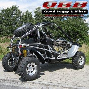 Dongfang Buggy DF600GK - EFI 600cc mit Straßenzulassung Dongfang Buggy DF600GK - EFI 600cc mit Straßenzulassung