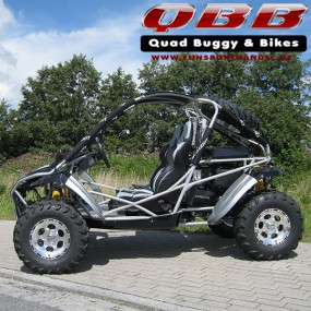 Dongfang Buggy DF600GK - EFI 600cc mit Straßenzulassung Dongfang Buggy DF600GK - EFI 600cc mit Straßenzulassung