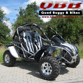 Dongfang Buggy DF600GK - EFI 600cc mit Straßenzulassung Dongfang Buggy DF600GK - EFI 600cc mit Straßenzulassung