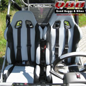 Dongfang Buggy DF600GK - EFI 600cc mit Straßenzulassung Dongfang Buggy DF600GK - EFI 600cc mit Straßenzulassung