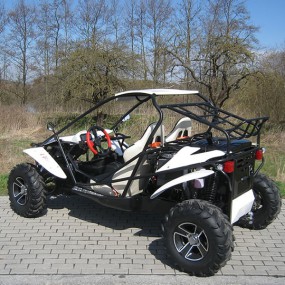 Buggy TENSION 500 4x4 Allrad mit Straßenzulassung Buggy TENSION 500 4x4 Allrad mit Straßenzulassung