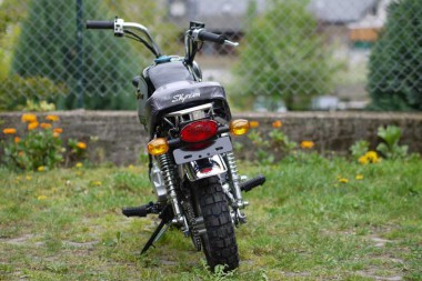 Skyteam ST-50-8A- 50ccm Gorilla Nachbau Skyteam ST-50-8A- 50ccm Gorilla Nachbau