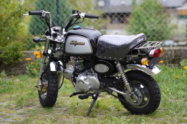Skyteam ST-50-8A- 50ccm Gorilla Nachbau Skyteam ST-50-8A- 50ccm Gorilla Nachbau