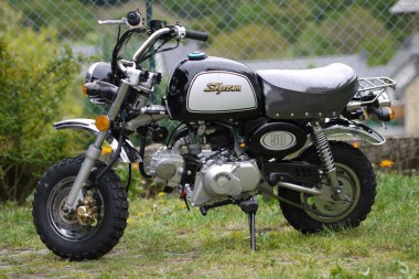 Skyteam ST-50-8A- 50ccm Gorilla Nachbau Skyteam ST-50-8A- 50ccm Gorilla Nachbau