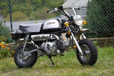 Skyteam ST-50-8A- 50ccm Gorilla Nachbau Skyteam ST-50-8A- 50ccm Gorilla Nachbau