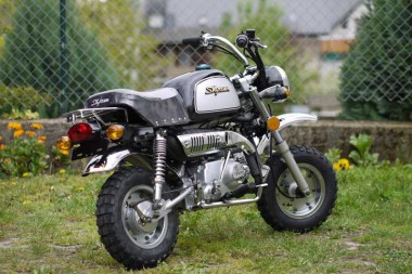 Skyteam ST-50-8A- 50ccm Gorilla Nachbau Skyteam ST-50-8A- 50ccm Gorilla Nachbau