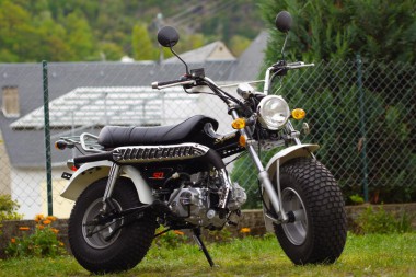 Skyteam T-Rex 50 ccm - ST50-11 - 2 Personen Zulassung Skyteam T-Rex 50 ccm - ST50-11 - 2 Personen Zulassung