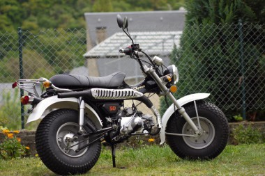 Skyteam T-Rex 50 ccm - ST50-11 - 2 Personen Zulassung Skyteam T-Rex 50 ccm - ST50-11 - 2 Personen Zulassung