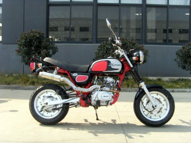 Skyteam Cobra 125 - Mini Motorrad 125ccm Skyteam Cobra 125 - Mini Motorrad 125ccm