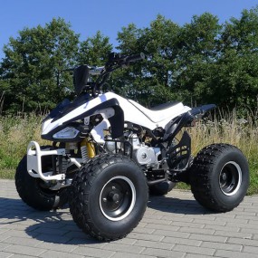 Kinder Quad 125ccm  Speedy Hawk  8  Reifen