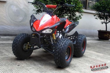 Kinder Quad 125ccm  Speedy Hawk  8  Reifen