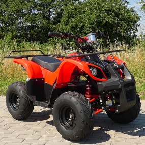 Kinderquad Atv elektrisch mit 1000 Watt-Motor E-Quad 1000 Kinderquad Atv elektrisch mit 1000 Watt-Motor E-Quad 1000