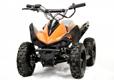 Kinderquad 50ccm + Fernbedienung + Drossel + Notausleine Kinderquad 50ccm + Fernbedienung + Drossel + Notausleine