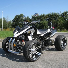 250 ccm Racing Quad Atv Speedbird X-Treme 14  mit Strassenzulassung