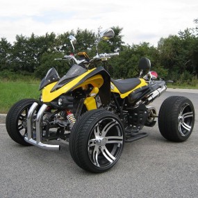 250 ccm Racing Quad Atv"Speedbird X-Treme 14" mit Strassenzulassung 250 ccm Racing Quad Atv"Speedbird X-Treme 14" mit Strassenzulassung