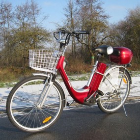 Elektrofahrrad E-Bike mit 250W Motor u 26 Zoll Reifen Elektrofahrrad E-Bike mit 250W Motor u 26 Zoll Reifen