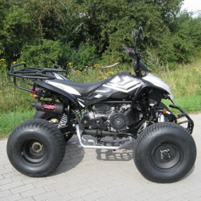Shineray XY150 150ccm Automatik Quad mit Strassenzulassung Shineray XY150 150ccm Automatik Quad mit Strassenzulassung