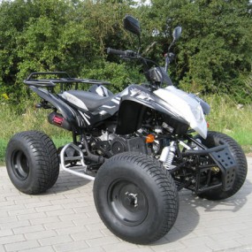 Shineray XY150 150ccm Automatik Quad mit Strassenzulassung Shineray XY150 150ccm Automatik Quad mit Strassenzulassung