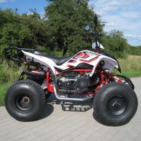 Shineray XY150 150ccm Automatik Quad mit Strassenzulassung Shineray XY150 150ccm Automatik Quad mit Strassenzulassung