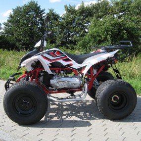 Shineray XY150 150ccm Automatik Quad mit Strassenzulassung Shineray XY150 150ccm Automatik Quad mit Strassenzulassung