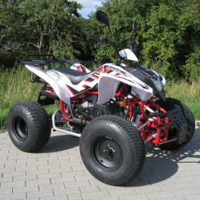 Shineray XY150 150ccm Automatik Quad mit Strassenzulassung Shineray XY150 150ccm Automatik Quad mit Strassenzulassung