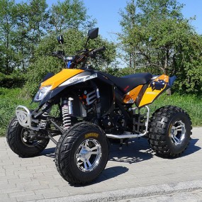 250 ccm ATV Madox - Offroad Edition - Quad mit Straßenzulassung - Jetzt NEU 300cc Version 250 ccm ATV Madox - Offroad Edition - Quad mit Straßenzulassung - Jetzt NEU 300cc Version