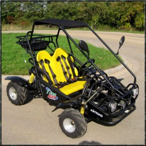 Kinderbuggy GoKart Buggy für Kinder mit 110ccm 4 Takt-Motor Kinderbuggy GoKart Buggy für Kinder mit 110ccm 4 Takt-Motor