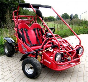 Kinderbuggy GoKart Buggy für Kinder mit 110ccm 4 Takt-Motor Kinderbuggy GoKart Buggy für Kinder mit 110ccm 4 Takt-Motor