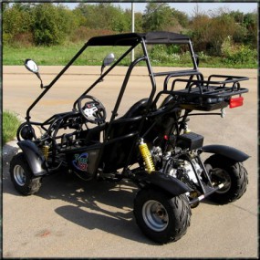 Kinderbuggy GoKart Buggy für Kinder mit 110ccm 4 Takt-Motor Kinderbuggy GoKart Buggy für Kinder mit 110ccm 4 Takt-Motor