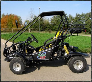 Kinderbuggy GoKart Buggy für Kinder mit 110ccm 4 Takt-Motor Kinderbuggy GoKart Buggy für Kinder mit 110ccm 4 Takt-Motor