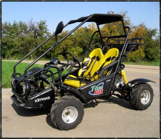 Kinderbuggy GoKart Buggy für Kinder mit 110ccm 4 Takt-Motor