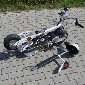 E-Scooter mit Straßenzulassung 500W E-Scooter mit Straßenzulassung 500W