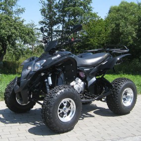 250ccm Quad Shineray XY250ST-5 mit Straßenzulassung 250ccm Quad Shineray XY250ST-5 mit Straßenzulassung