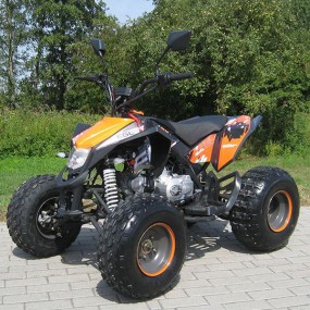 Quad MADDEX 50ccm mit Strassenzulassung fahrbar ab 16 Jahren Quad MADDEX 50ccm mit Strassenzulassung fahrbar ab 16 Jahren