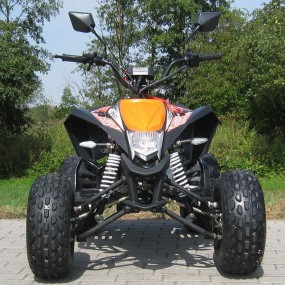 Quad MADDEX 50ccm mit Strassenzulassung fahrbar ab 16 Jahren Quad MADDEX 50ccm mit Strassenzulassung fahrbar ab 16 Jahren