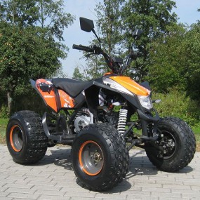 Quad MADDEX 50ccm mit Strassenzulassung fahrbar ab 16 Jahren Quad MADDEX 50ccm mit Strassenzulassung fahrbar ab 16 Jahren