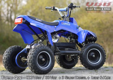 Elektro Kinderquad Atv 800 Watt 36 Volt inkl. 3 Stufendrossel Elektro Kinderquad Atv 800 Watt 36 Volt inkl. 3 Stufendrossel