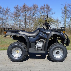 250ccm Quad Atv Hunter 250 mit Straßenzulassung + Seilwinde 250ccm Quad Atv Hunter 250 mit Straßenzulassung + Seilwinde
