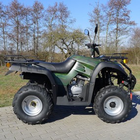 250ccm Quad Atv Hunter 250 mit Straßenzulassung + Seilwinde 250ccm Quad Atv Hunter 250 mit Straßenzulassung + Seilwinde